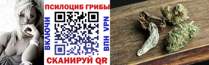 Псилоцибиновые грибы ЛСД Обоянь